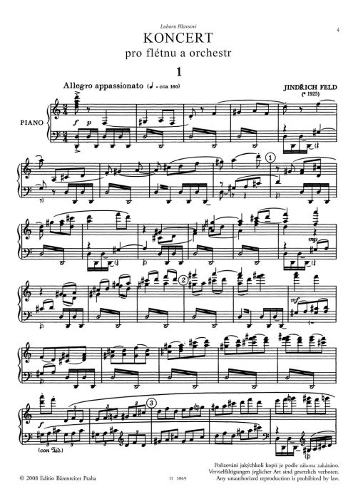 Flute Concerto (Flute & Piano)