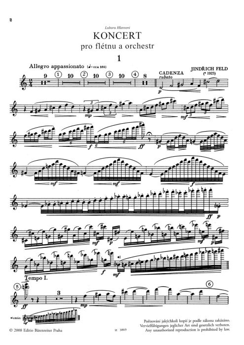 その他 Virtuoso Flute Concertos p706p5g Flute Concerto (Flute & Piano)
