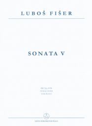 Piano Sonata V