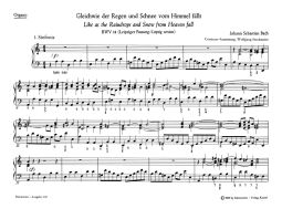 Cantata No.18: Gleichwie der Regen und Schnee vom Himmel fällt (BWV 18) (Organ)