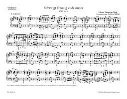 Cantata No.36: Schwingt freudig euch empor (BWV 36) (Organ)