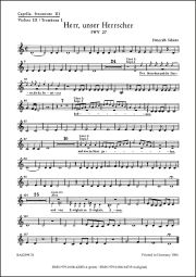 Psalm 8 - Herr, unser Herrscher (SWV 27) (Violin III/Trombone I)