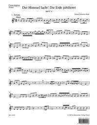 Cantata No.31: Der Himmel lacht! Die Erde jubilieret (BWV 31) (Cor anglais)