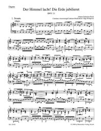 Cantata No.31: Der Himmel lacht! Die Erde jubilieret (BWV 31) (Organ)