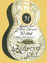 30 Etudes For Guitar